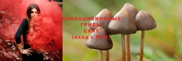 не бодяженный Богданович