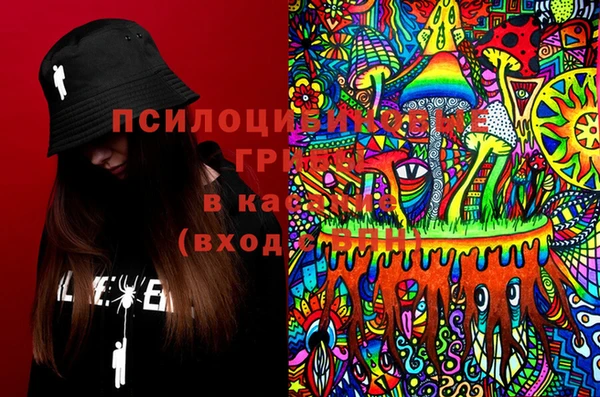 не бодяженный Богданович