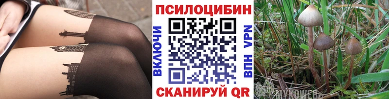 Галлюциногенные грибы мухоморы  закладка  Кировград 